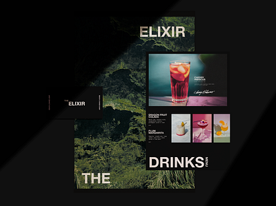 The Elixir branding design graphic design graphic art minimal typography