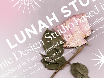 Lunah Studio Poster Design branding design graphic design graphic art typography