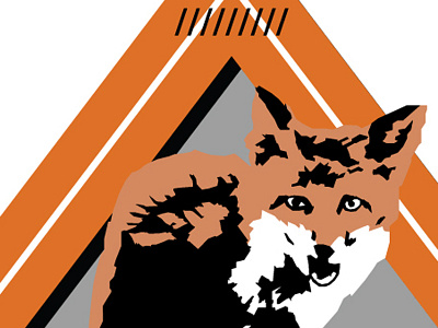 Barnwell btid diamond fox illustration ohno orange