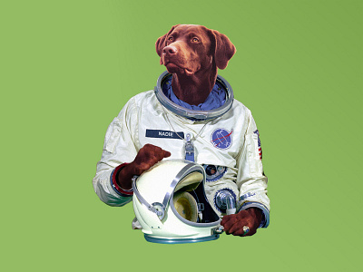 Nadie astronaut btid dog green lab nasa oh no space