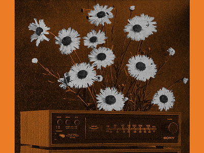 the sound of flowers flower fuzz grain music noise noisy orange plants sony sound stereo