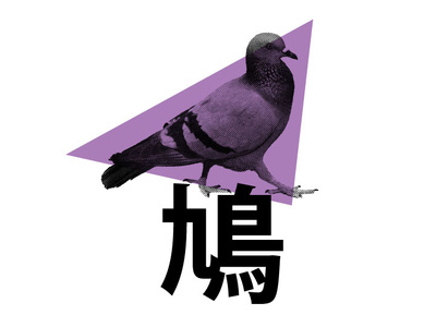 Pigeon bird birdie halftone pigeon purple triangle two color