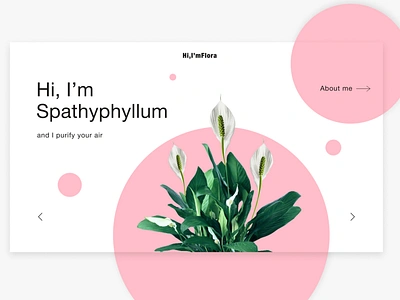 Plant concept challenge concept daily ui design dribbble figma figmadesign inspiration interface minimal nature pink plant plants ui web web design webdesign