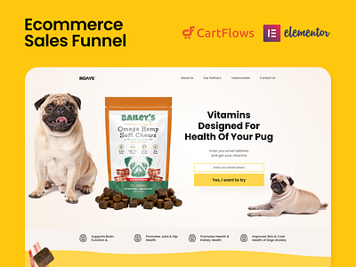 Ecommerce Sales Funnel
