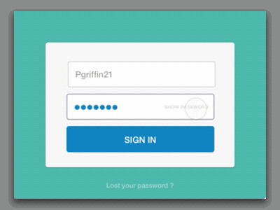 The Password Paradox blog login masking password principle sketch