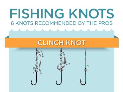 Fishing knots infographic