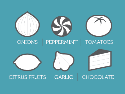 Infographic blue brand buttons candy chocolate food foods fruit icons infographic vegetables