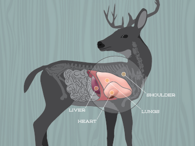 Hunting infographic animals deer forest guns hunting infographic man cave manly wildlife wood grain woods