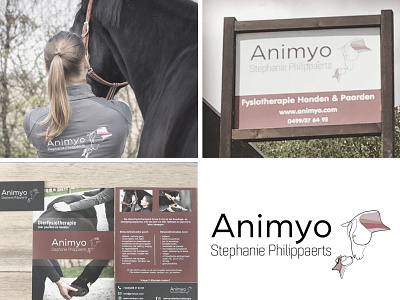 Animyo dierenfysiotherapie