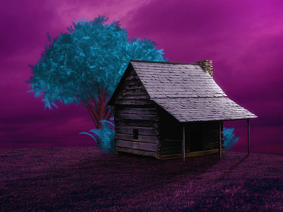 Pothead's Wonderland adobe photoshop art colors image manipulation purple