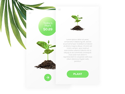 Seedly App UI Design