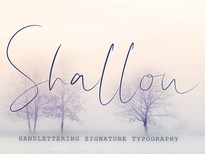 Shallou Script Font caligraphy cursive cursive font font handlettered handwritten font modern font script script font signature font typeface typeface design