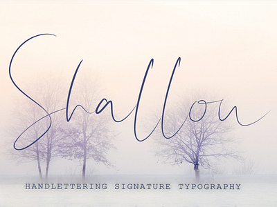 Shallou Script Font