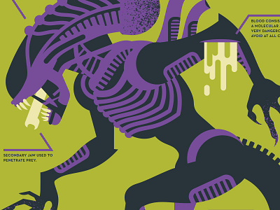 XENOMORPH aliens design illustration movie poster poster xenomorph