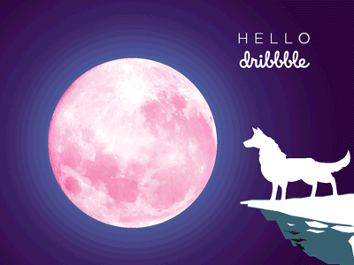 Hello Dribbble animation bounce design howl illustration logo moon wolf