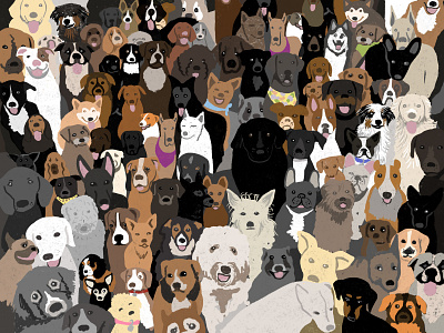 Bunch of dogs dog dogs illustration procreate procreate app procreate art