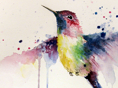 the optimist lives on colorful cute hummingbird illustration painting rainbow stunning watercolor