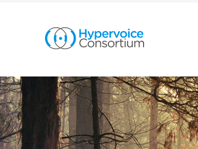 Hypervoice Homepage Mockup