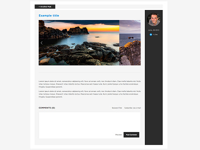 Blog Item Full avatar blog comments item list minimal site website