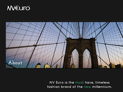 NVEuro About Page Mockup