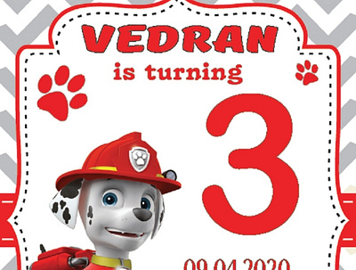 Birthday Card birthday birthday card birthday invitation design illustrator paw patrol ui vector