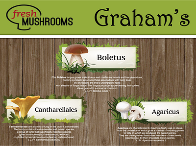 Fresh Mushrooms branding design illustration illustrator logo marketing mushrooms typography ui vector web