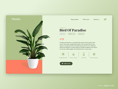 Plant shop product page branding daily ui dailyui design ecommerce figma green open product plants product page shopping ui webshop