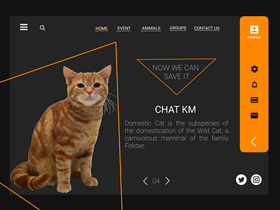 Animals: we can save it animal animal art animal character animals animation app branding chat chat app chat box chat bubble design mobile typography ui ui ux ux web