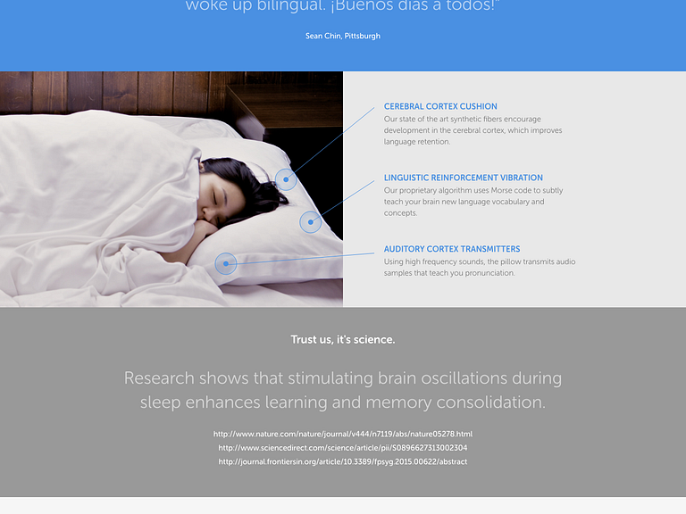 Introducing Duolingo Pillow by Sean Chin for Duolingo on Dribbble