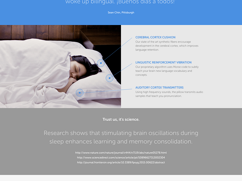 Introducing Duolingo Pillow by Sean Chin for Duolingo on Dribbble