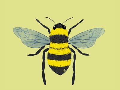 To bee or not to be? art bee black bug claireguyot digitalart fly graphisme illustration nature procreate yellow
