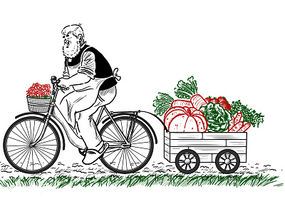 Gärtner Pötschke with bike carrying several vegetables