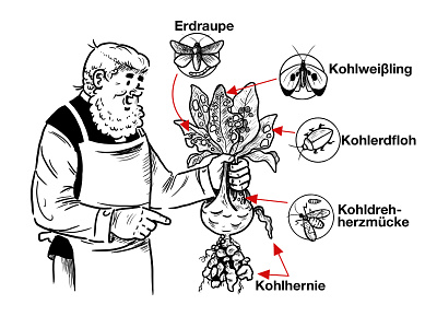 Gärtner Poetschke with Kohlrabi cartoon cartoon character disease funny garden gardener gardening illness illustration insects kohlrabi poetschke vegetables