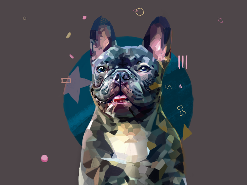 Frenchie illustration by Can Eğridere on Dribbble