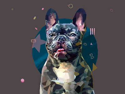 Frenchie illustration 2d art bulldog dog french bulldog frenchie futuristic illustration pug sketchbook