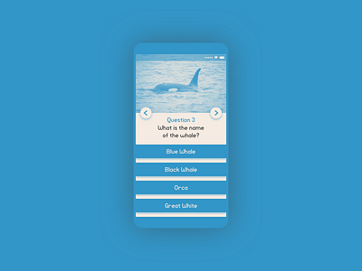 Lifelimitsart 015 / Quiz app blue concept dailyui design flat idea material minimal minimalism mobile question quiz ui vector whale