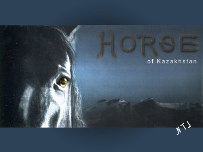 Advertising Banner HORSE. advertising banner banner design creation graphicdesign horse photo