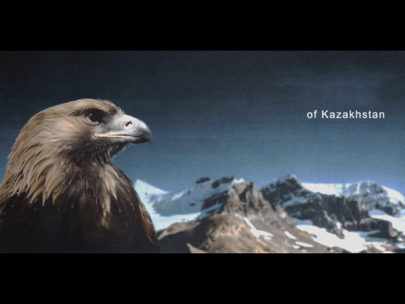 Animation- Kazakhstan Eagle fotographics