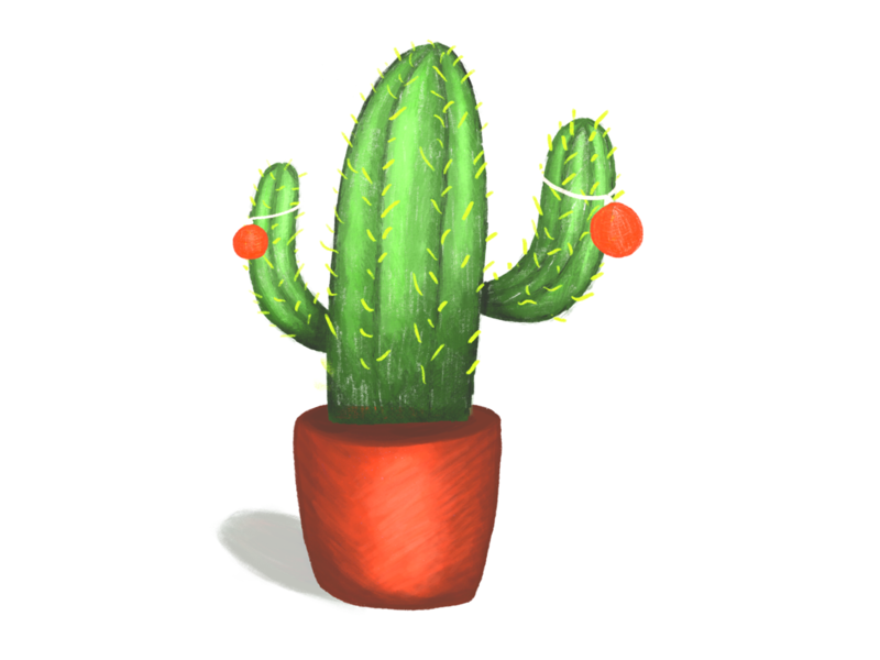 Procreate cactus by Ekaterina Filiptsova on Dribbble