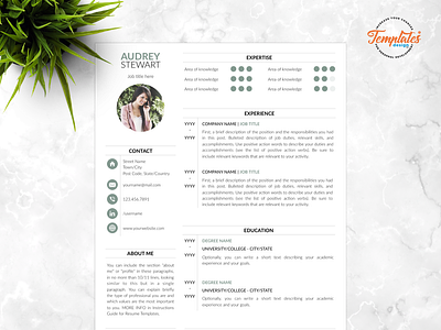 Resume Template For Word And Pages "Audrey Stewart" any job position best resume template clean resume cv for word cv modern resume editable resume feminine resume modern resume 2019 perfect cv resume template 2019 resume template etsy resume with cover resume with photo