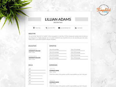 Resume Template For Word And Pages "Lillian Adams" 1 page cv 2 page cv 3 page cv basic resume classic resume clean resume cv design cv template resume cover letter resume template word resume word simple resume standard resume