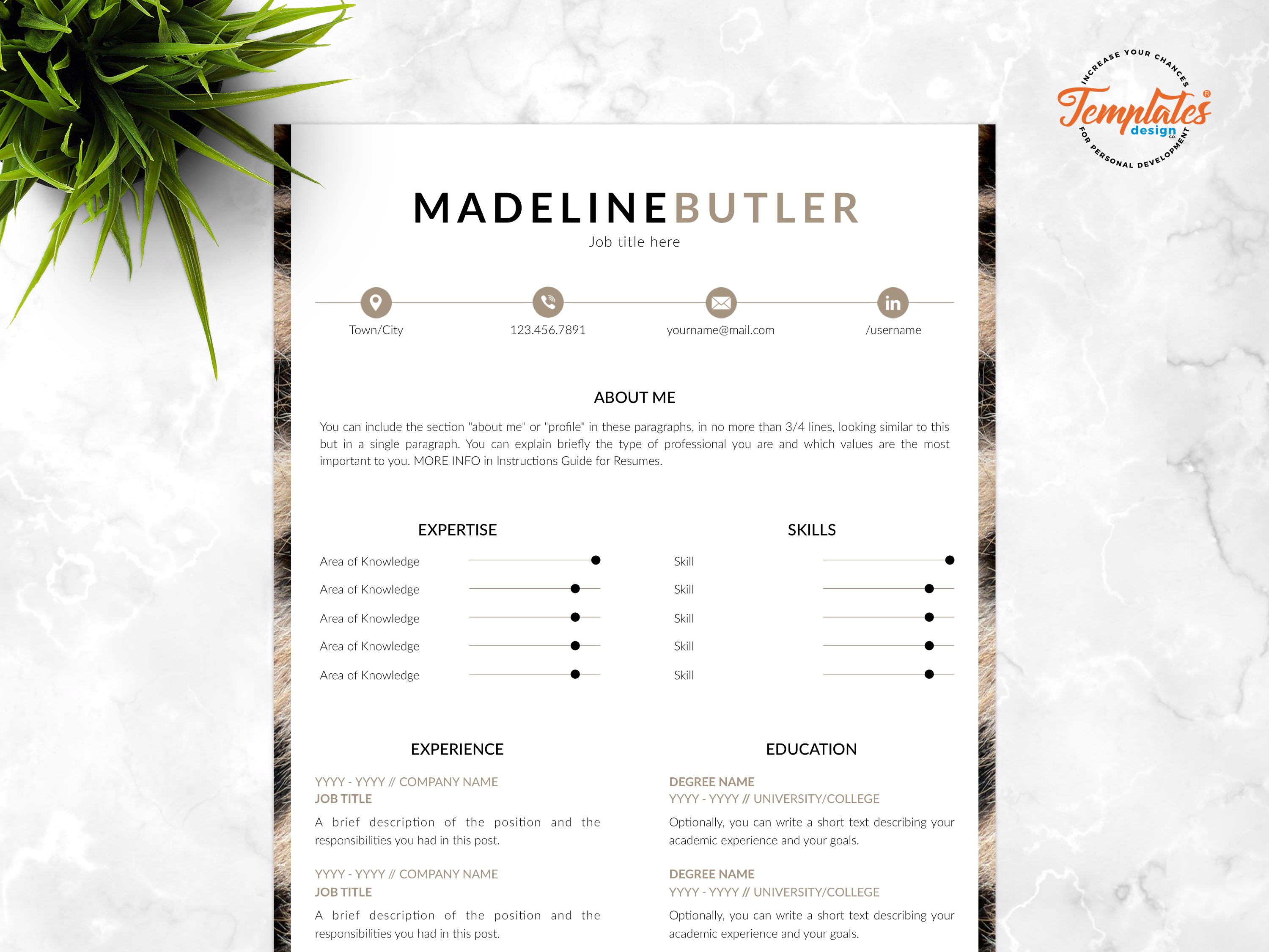 Resume Template For Word And Pages Madeline Butler By Templates
