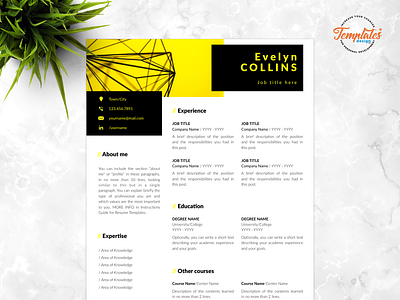 Civil Engineer Cv Designs Themes Templates And Downloadable Graphic Elements On Dribbble