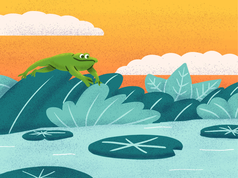 Jumping frog 2d animation animation framebyframe illustration photoshop