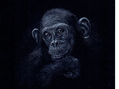 monkey s1 03 illustration