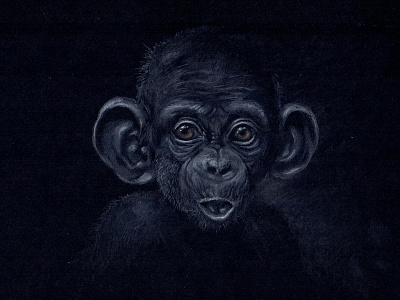 monkey s1 05 illustration