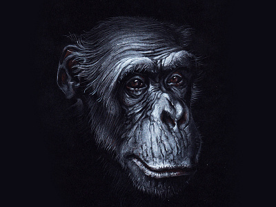 Monkey s2 02 illustration