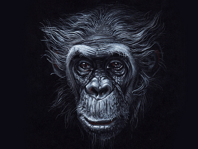 Monkey s2 06 illustration