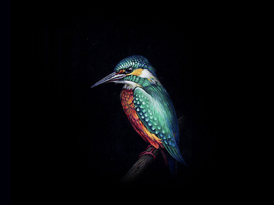 KingFisher 07