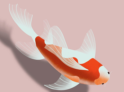 koi fish digitalart fish illustration